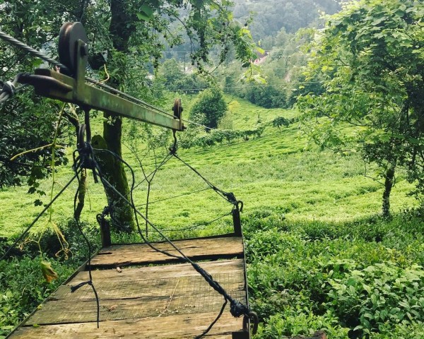 Ezber Bozan Çay - Sıradışı Bir Çay