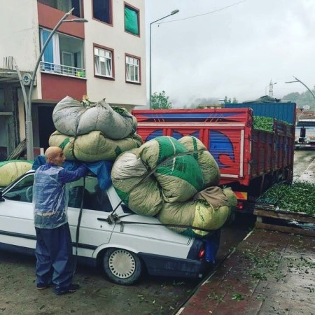Ezber Bozan Çay - Sıradışı Bir Çay