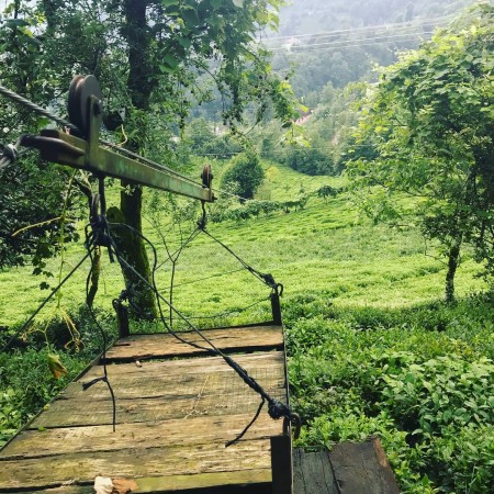 Ezber Bozan Çay - Sıradışı Bir Çay