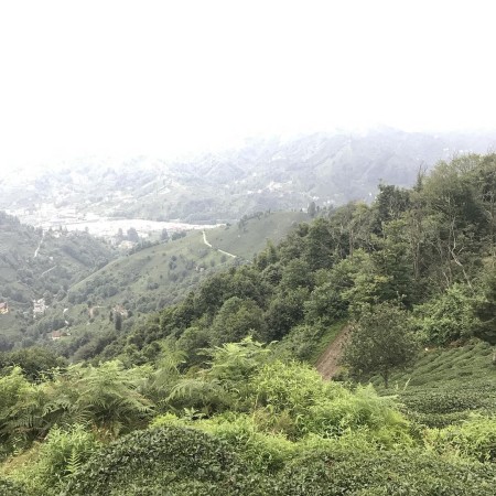 Ezber Bozan Çay - Sıradışı Bir Çay