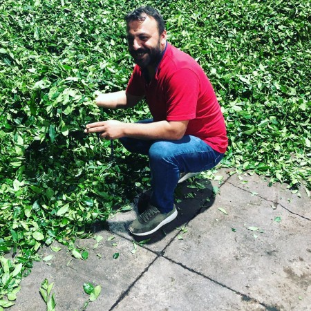 Ezber Bozan Çay - Sıradışı Bir Çay