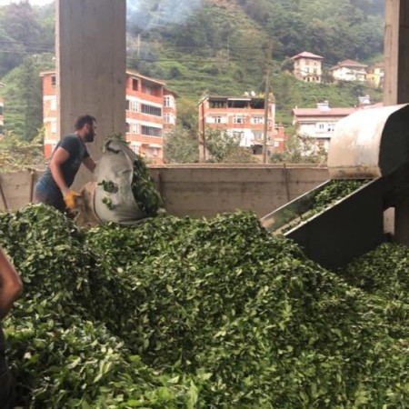Ezber Bozan Çay - Sıradışı Bir Çay