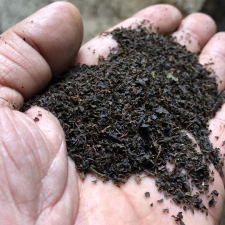 Ezber Bozan Çay - Sıradışı Bir Çay