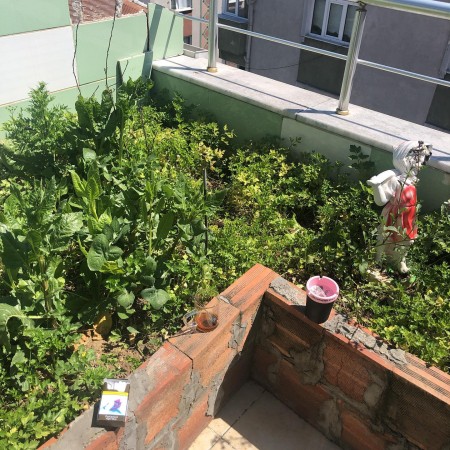 Ezber Bozan Çay - Sıradışı Bir Çay